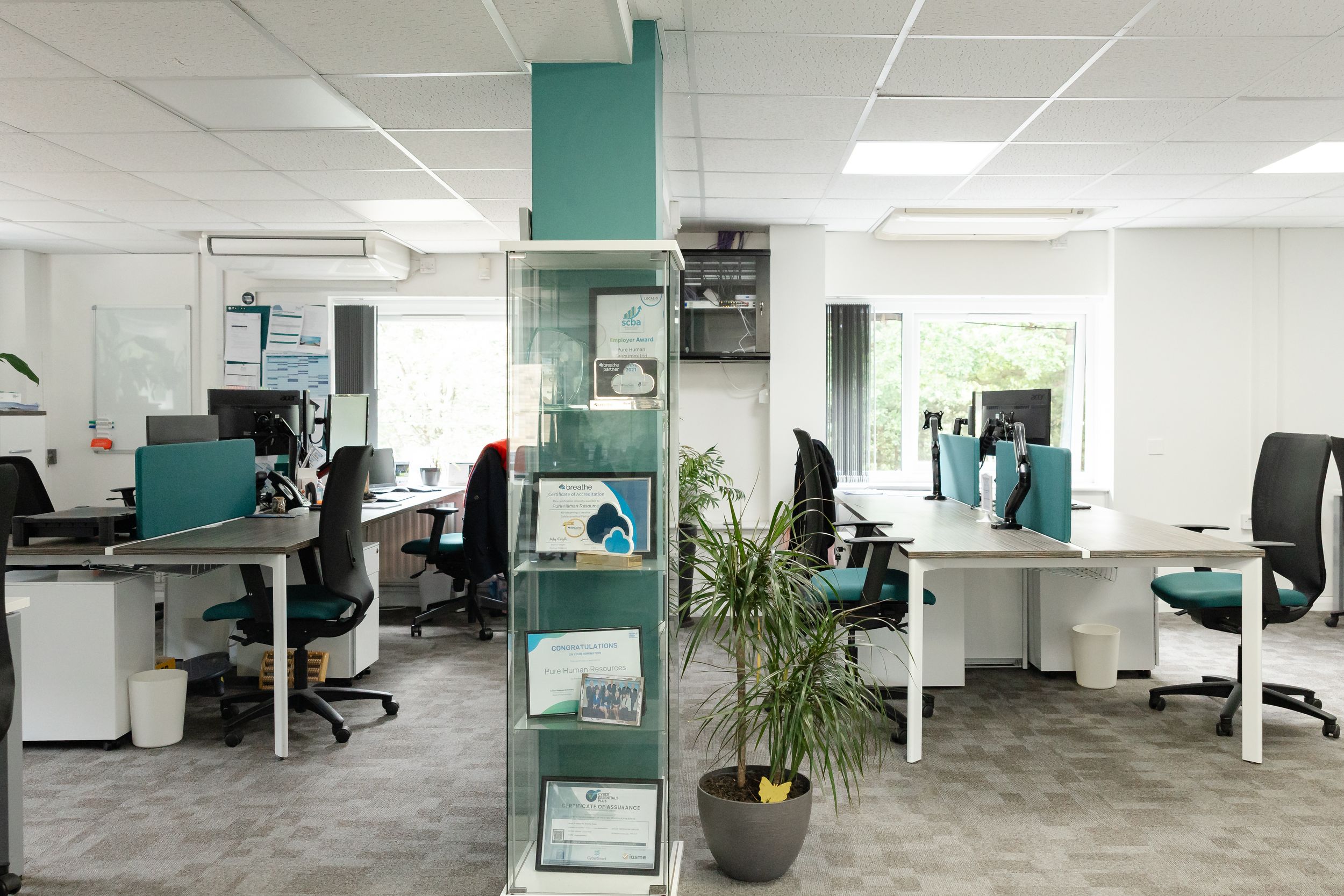 Modern open-plan office with teal accents, white desks, ergonomic chairs, and a green bookshelf divider near a bright window.