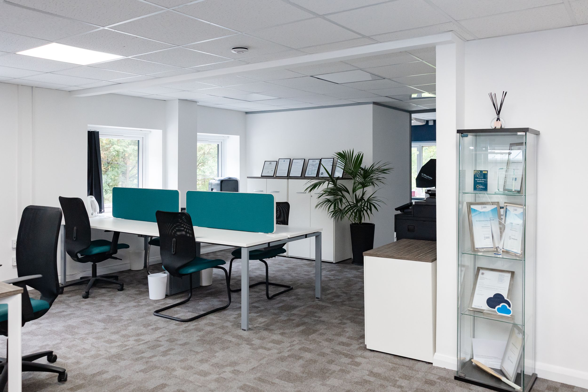 Modern open-plan office with teal desk dividers, ergonomic chairs, white desks, and a potted plant near large windows.