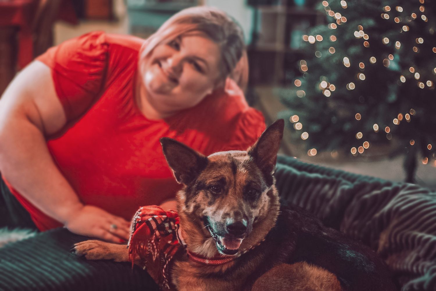 Smiling woman in red top poses with German Shepherd dog near Christmas tree.