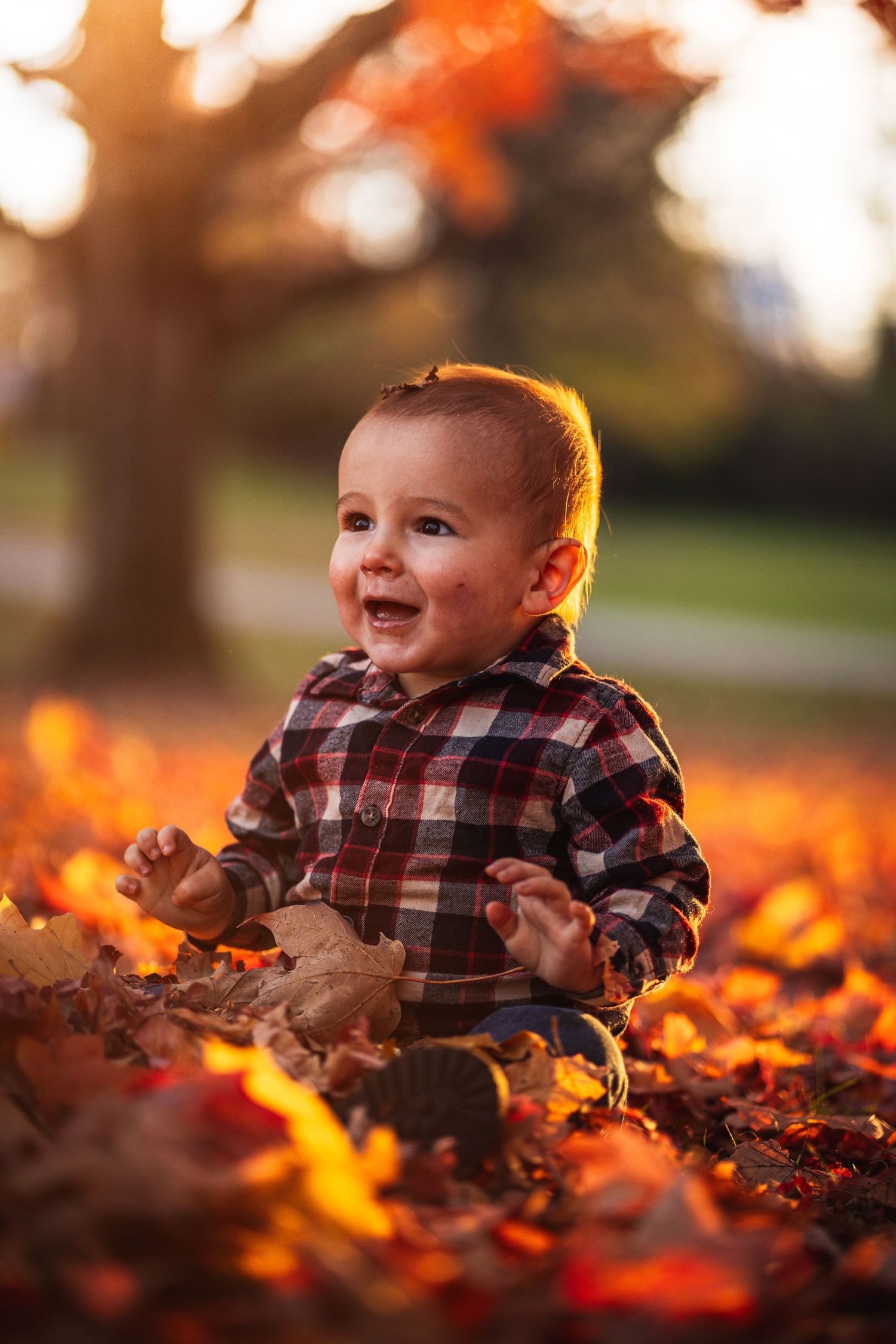 baby boy excitedly smiling whilst playing among the bright orange leaves during this fall photography session