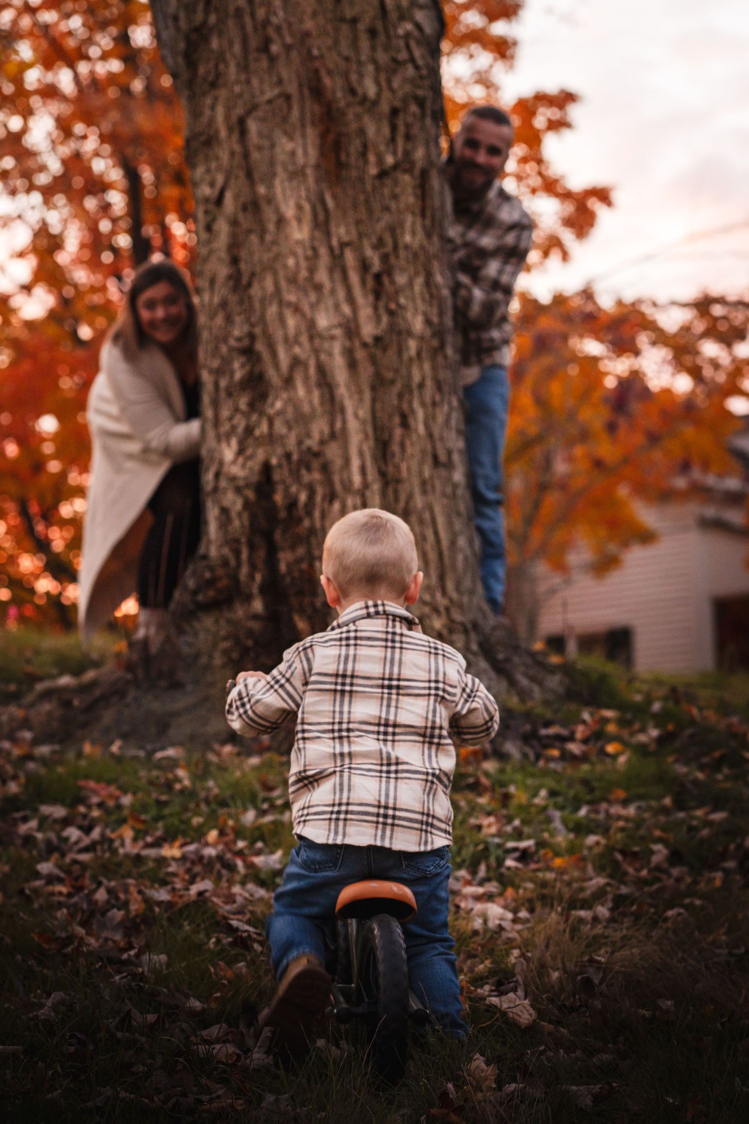 a boy riding his bike up a leafy hill while his parents are peaking out of each side of a tree in front. orange leaves glowing behind