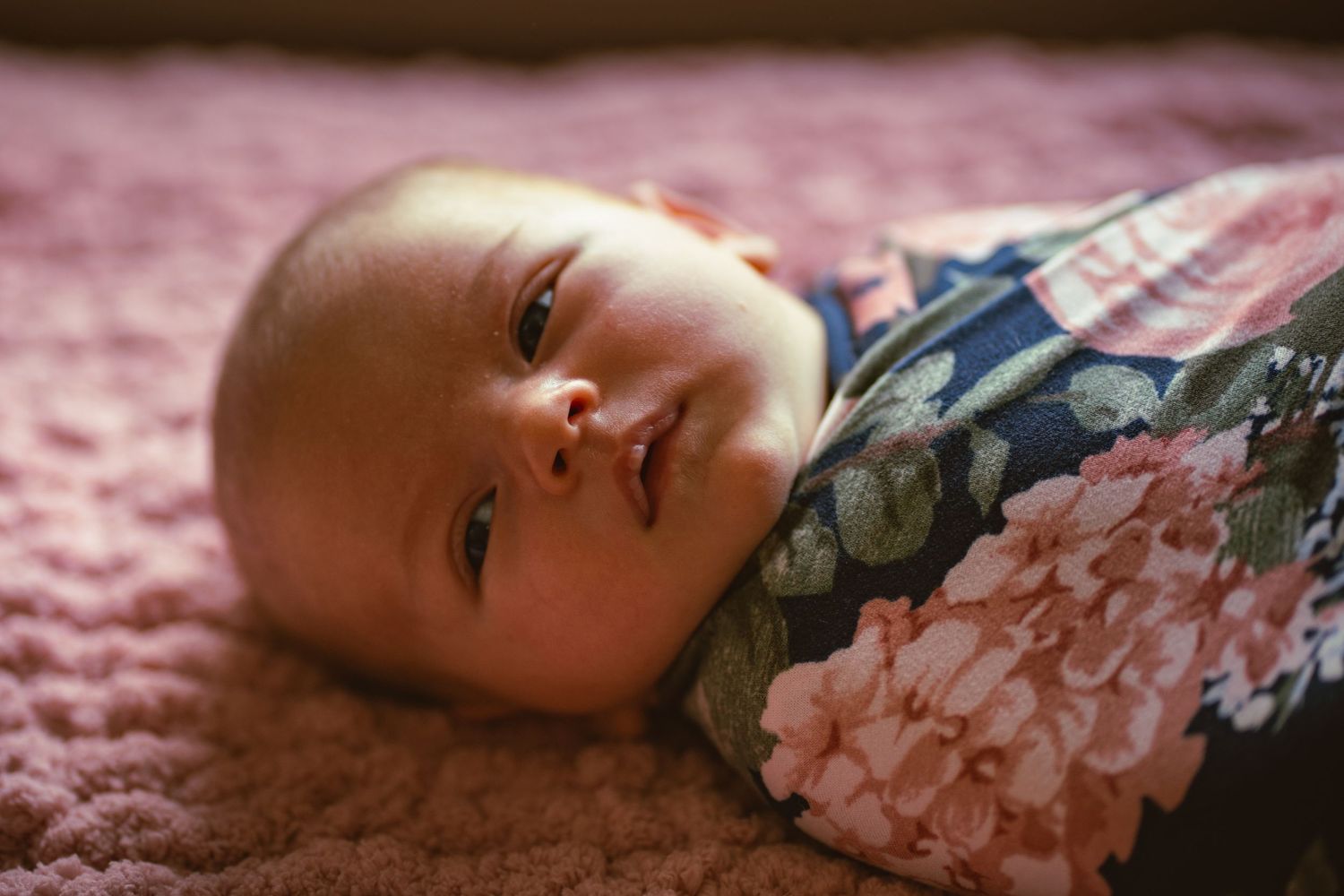 A collection of interconnected portrait photos with a pink background creates a dreamy collage effect.