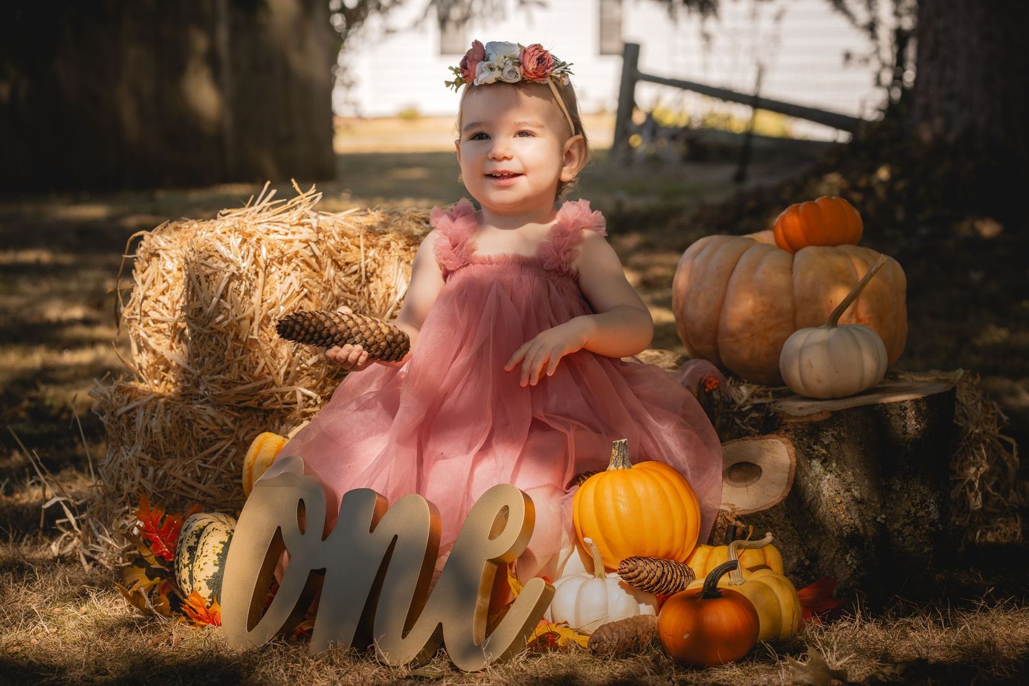 A baby in pink dress sits among autumn decorations with pumpkins and hay bales in an outdoor fall setting.