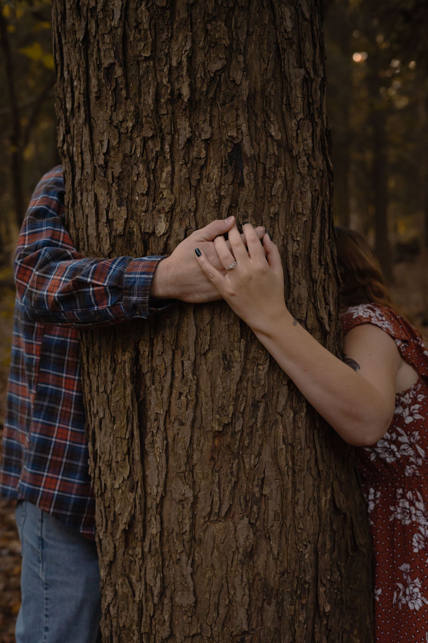 newly engaged couple holding hands on one side on a tree in the woods while they hide their faces behind it and kiss. the leaves are crisp