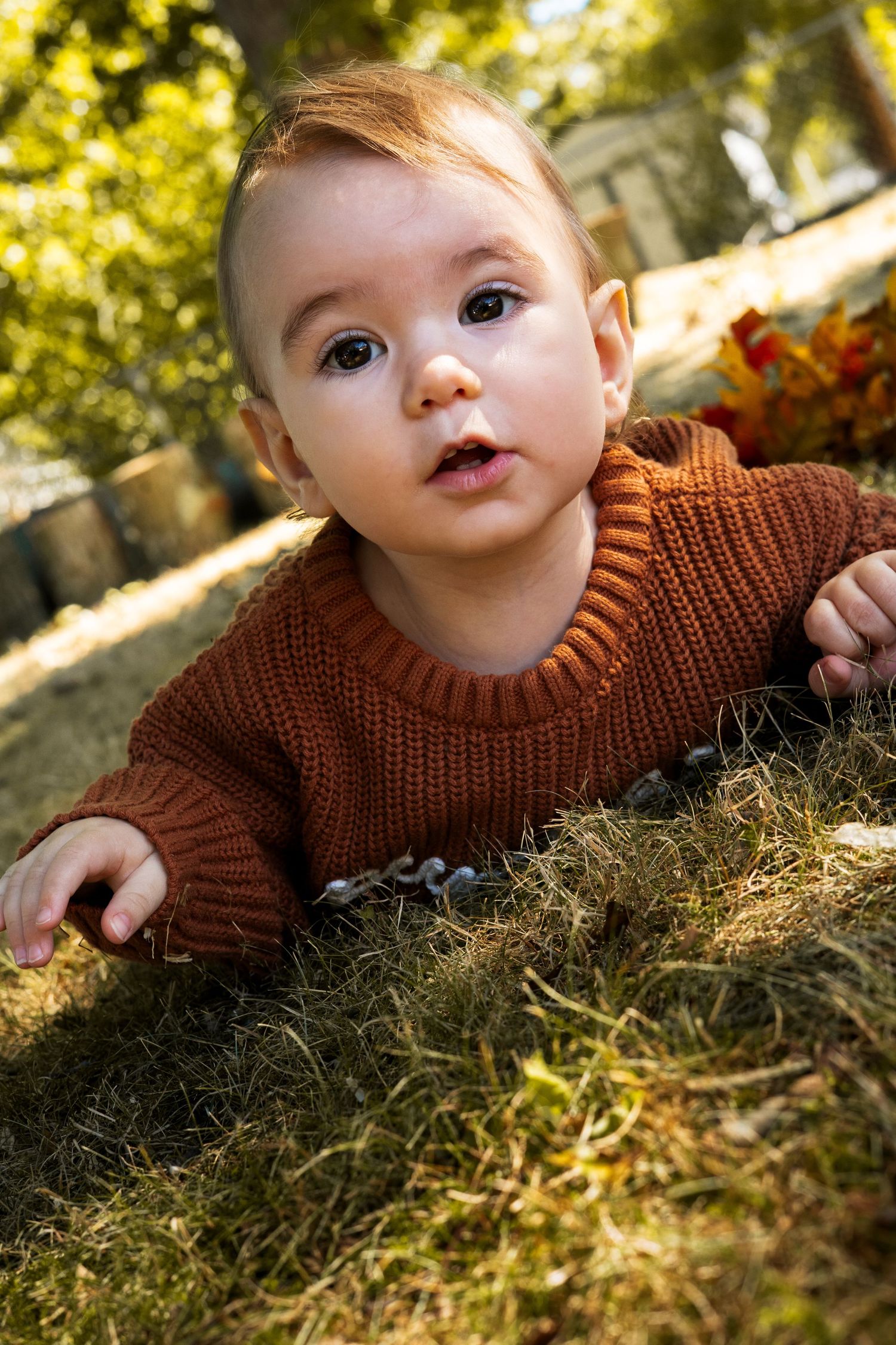 A baby in a brown knit sweater lies on autumn grass in warm sunlight during a fall photo session.
