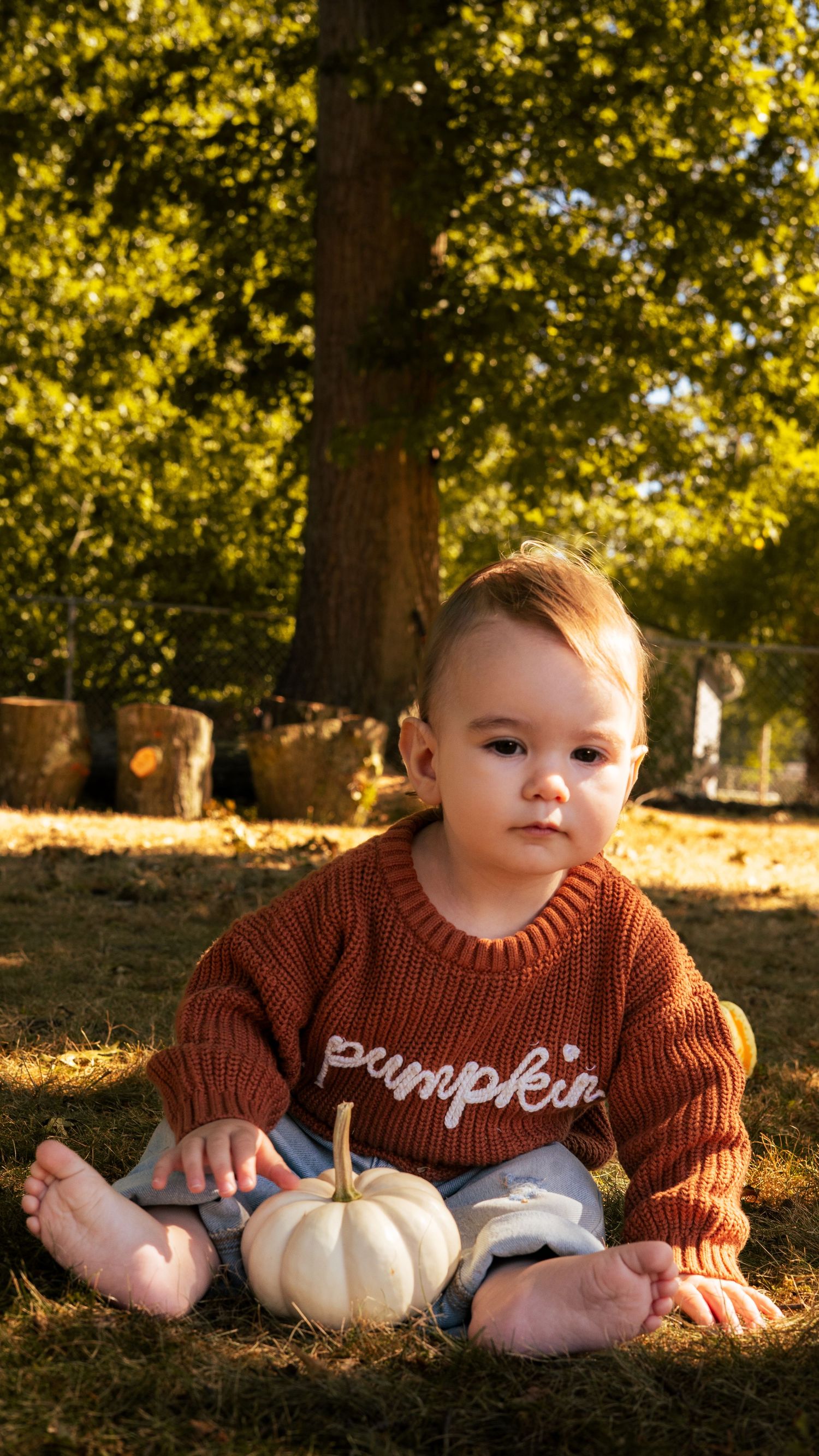 Baby wearing cozy brown sweater lying on grass with white pumpkin during golden autumn afternoon.