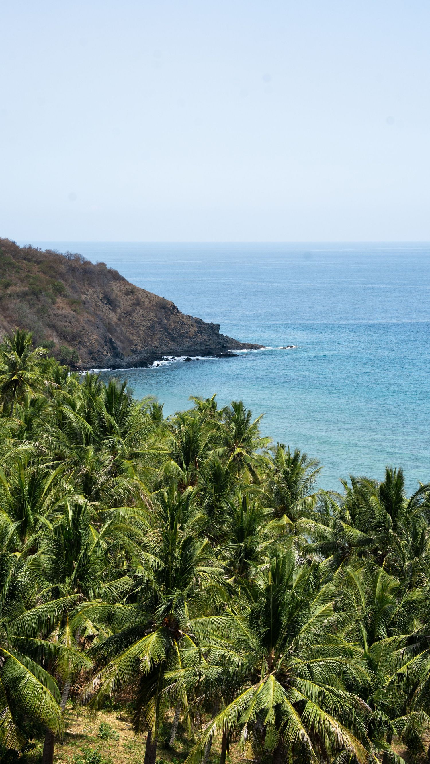 Tropical coastline with palm trees and turquoise ocean water against rocky cliffs.