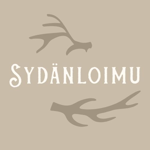 sosiaalipedagoginen hevostoiminta, tallitoiminta, spht, kajaani, tallipalvelut,metsäpakopeli, kainuu, sotkamo, pakopeli kajaani