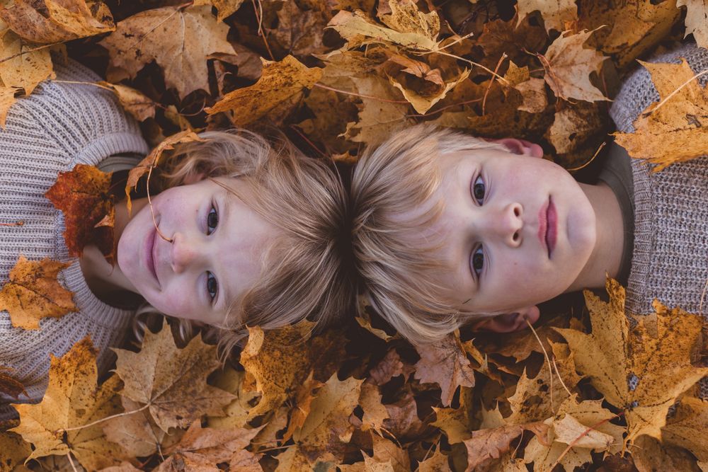 Two blonde children lying in a bed of golden autumn maple leaves, looking up at the camera.