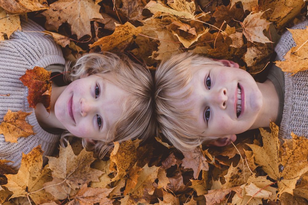 Two blonde children lying in a bed of golden autumn maple leaves, smiling up at the camera in fall season.