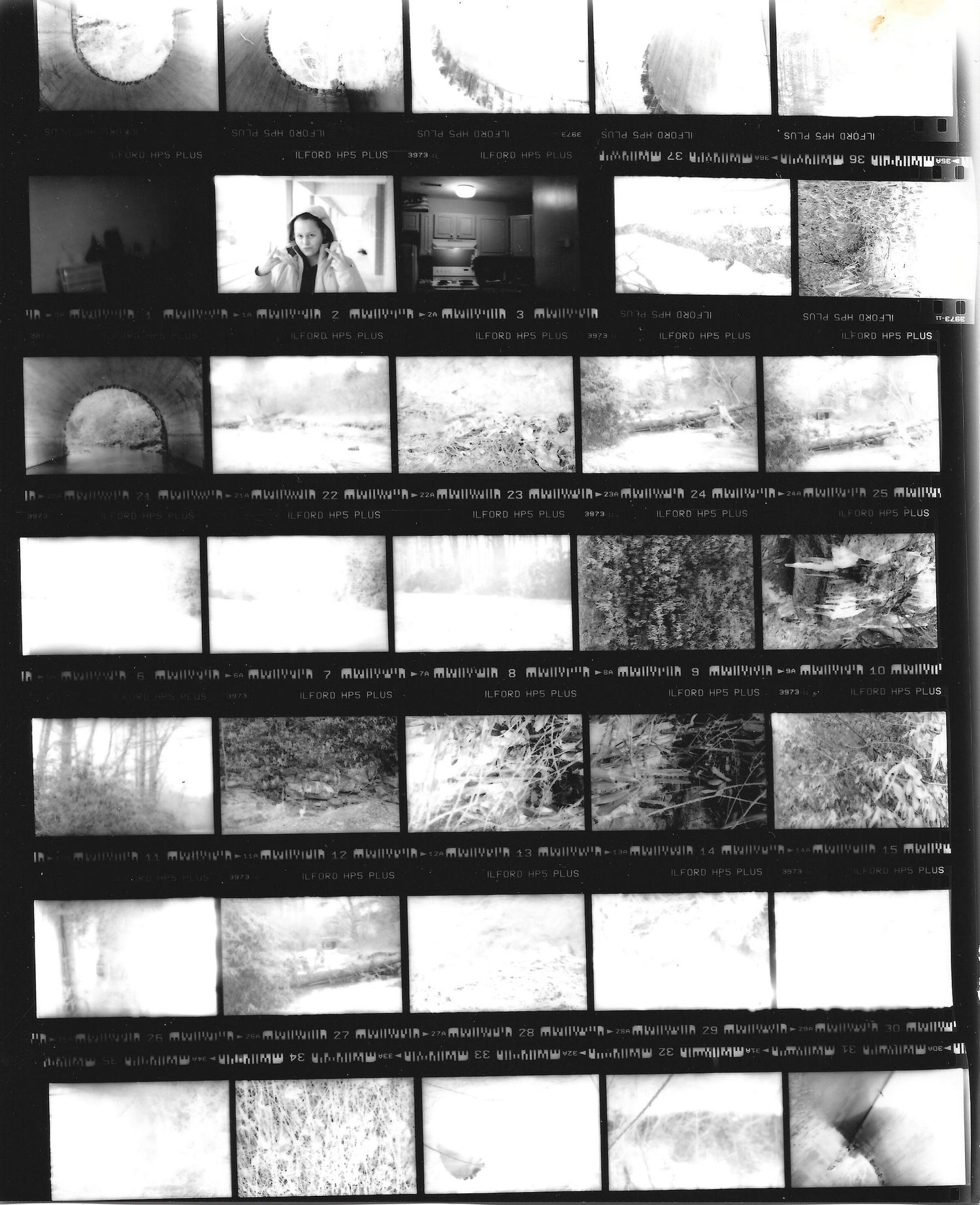 A contact sheet of black and white film negatives showing various landscape and nature scenes.