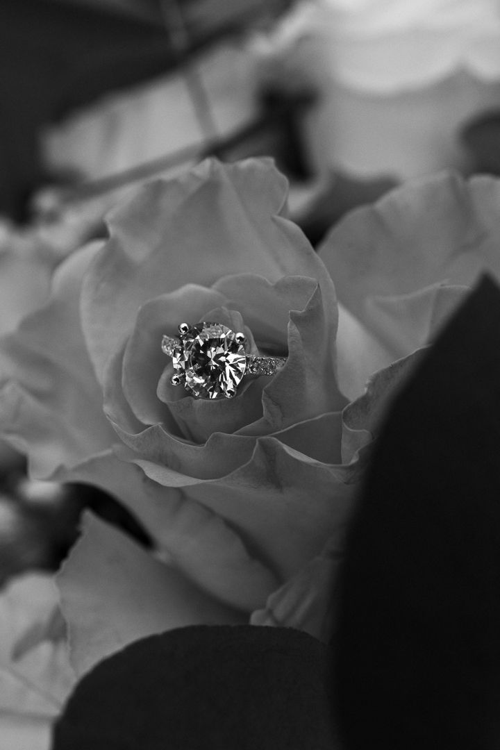 Close-up black and white photo of diamond ring nestled in rose petals.