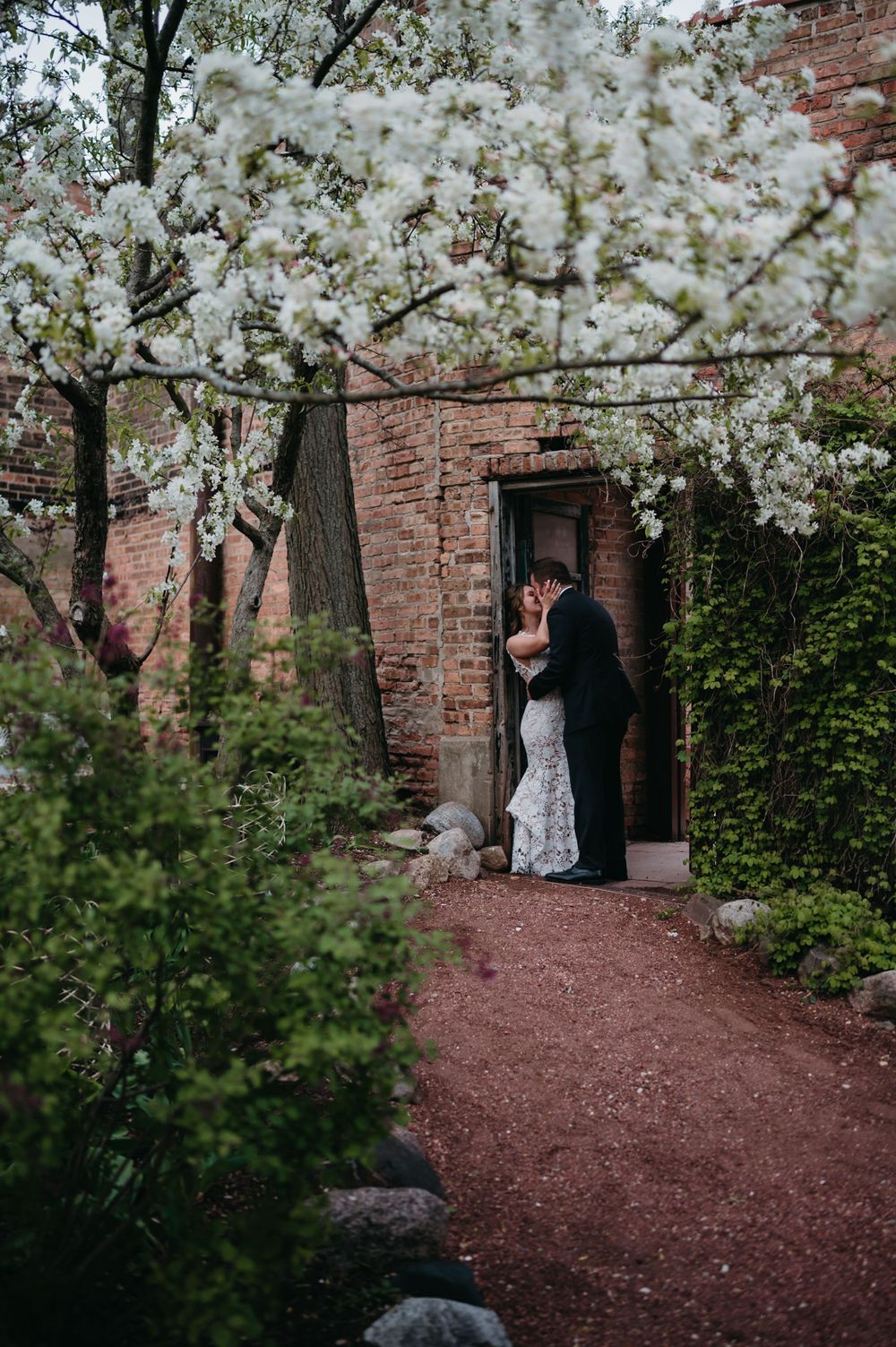 Spring wedding scene with white cherry blossoms framing brick doorway entrance.