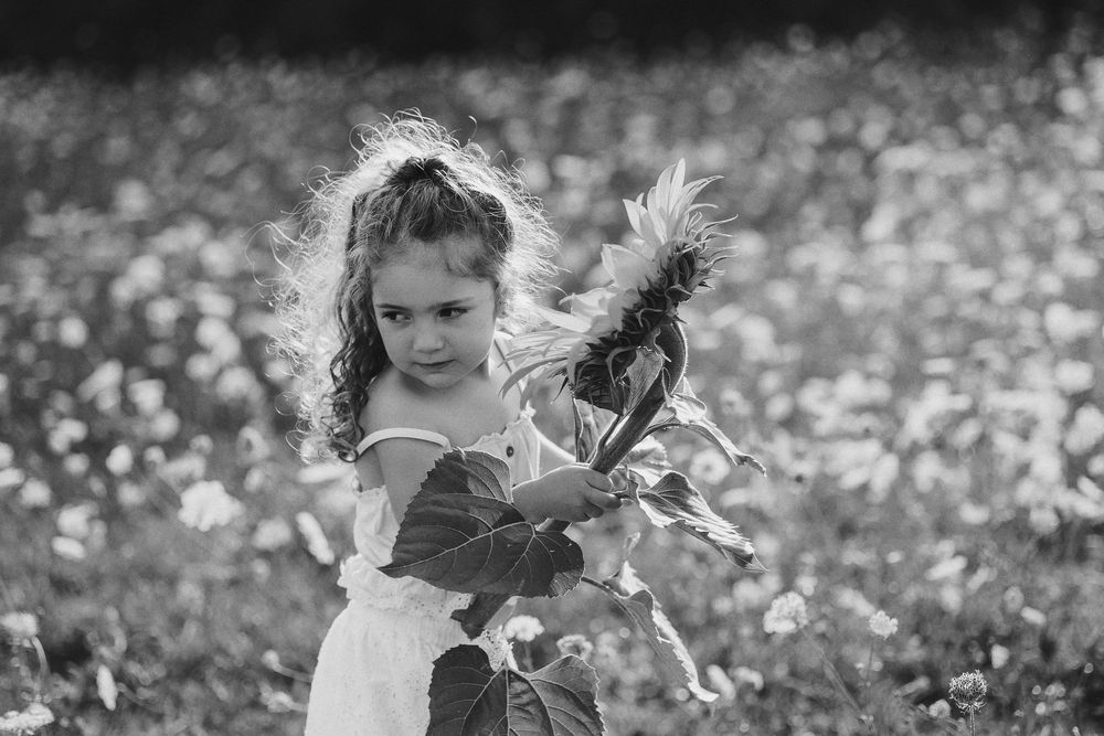 Black and white collage of children playing in a wildflower field on a sunny day.