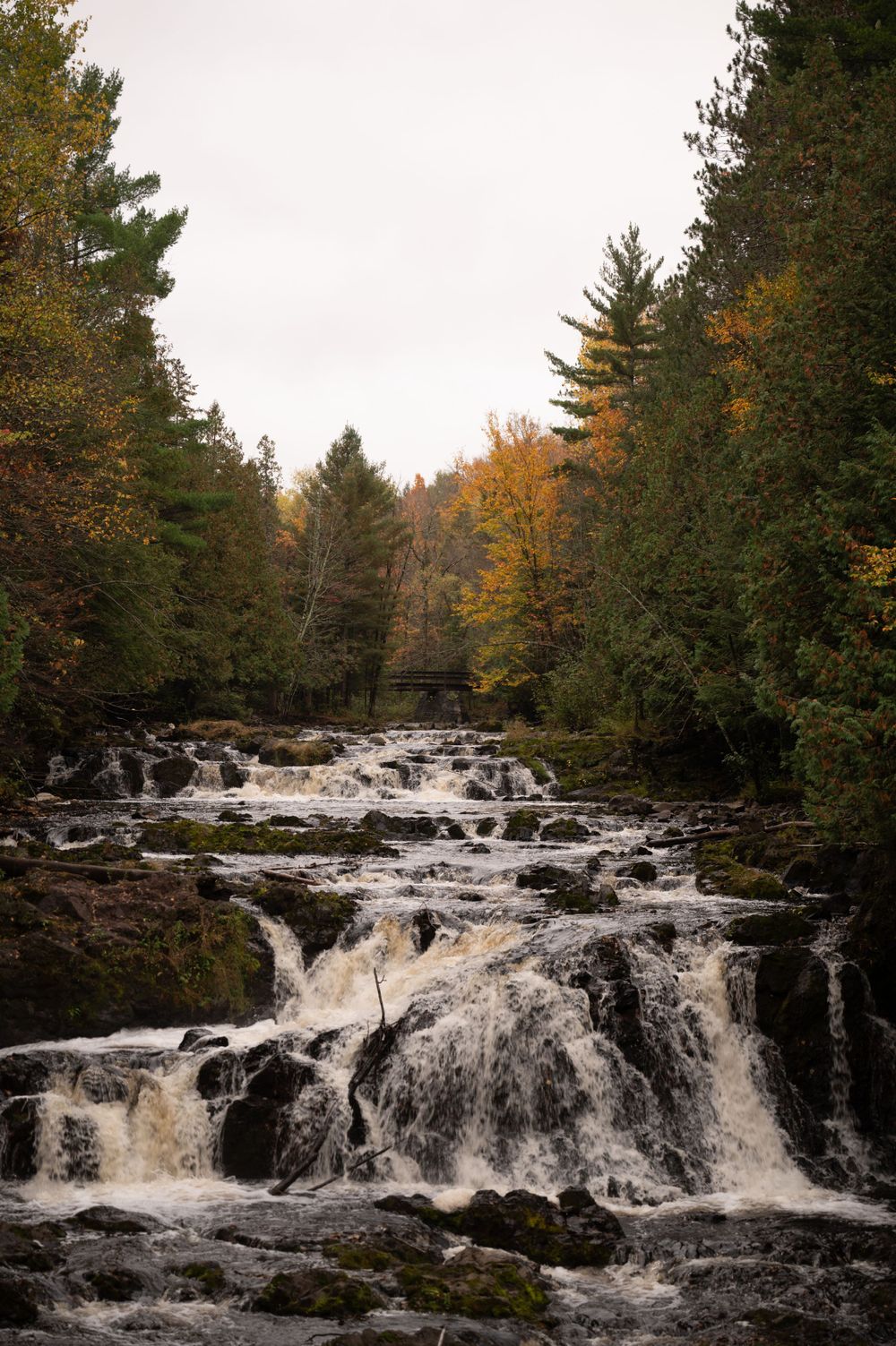 A cascading waterfall flows through a forest of evergreen and autumn trees on an overcast day.