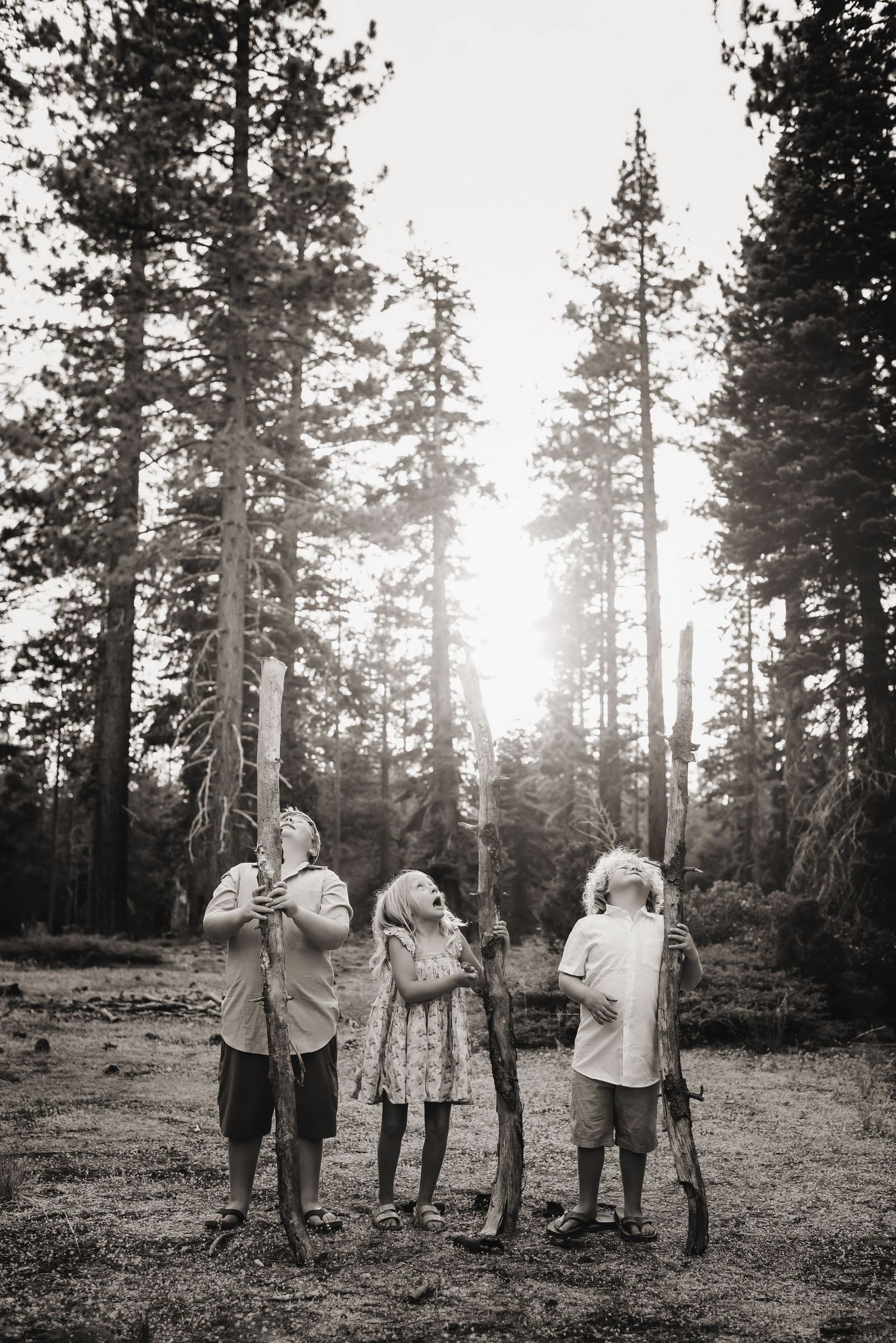Tender family moment under Lake Tahoe pines - Children play in golden light. Documentary-style family photography.