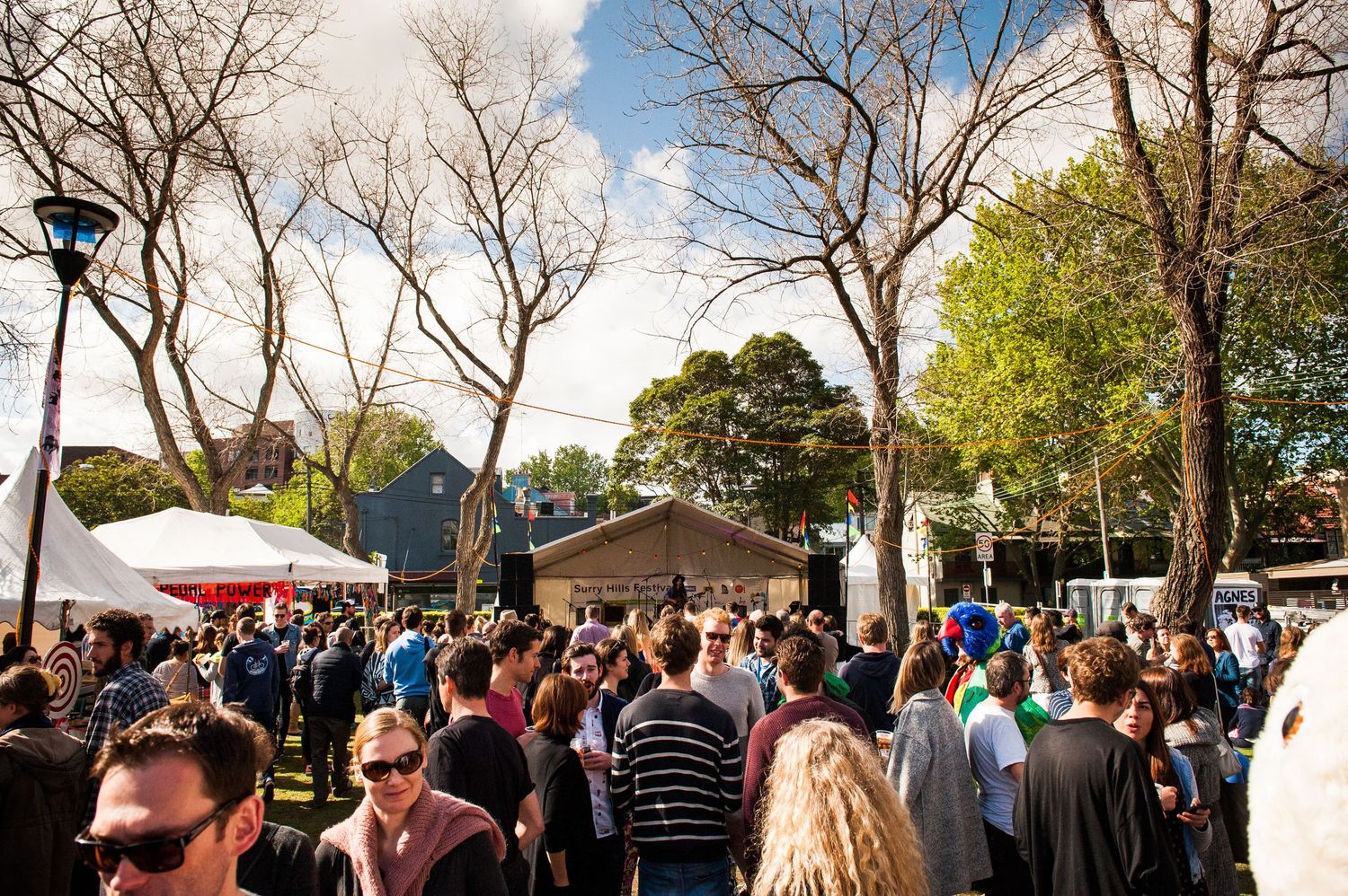 People attending Surry Hills Festival on a beautiful day by Dorrigo Photographer Lou Walpole