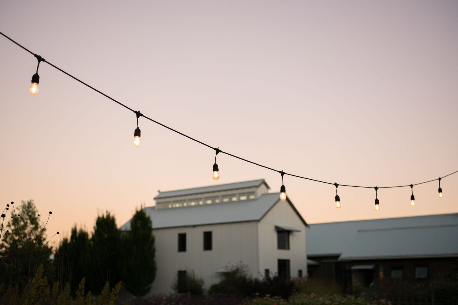 String lights hang above a white farmhouse building against a dusky pink sunset sky.