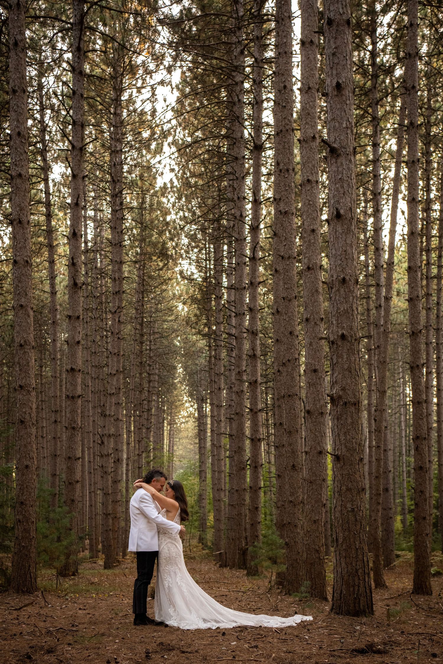 A wedding couple embraces in a serene pine forest setting with tall trees creating a natural backdrop.
