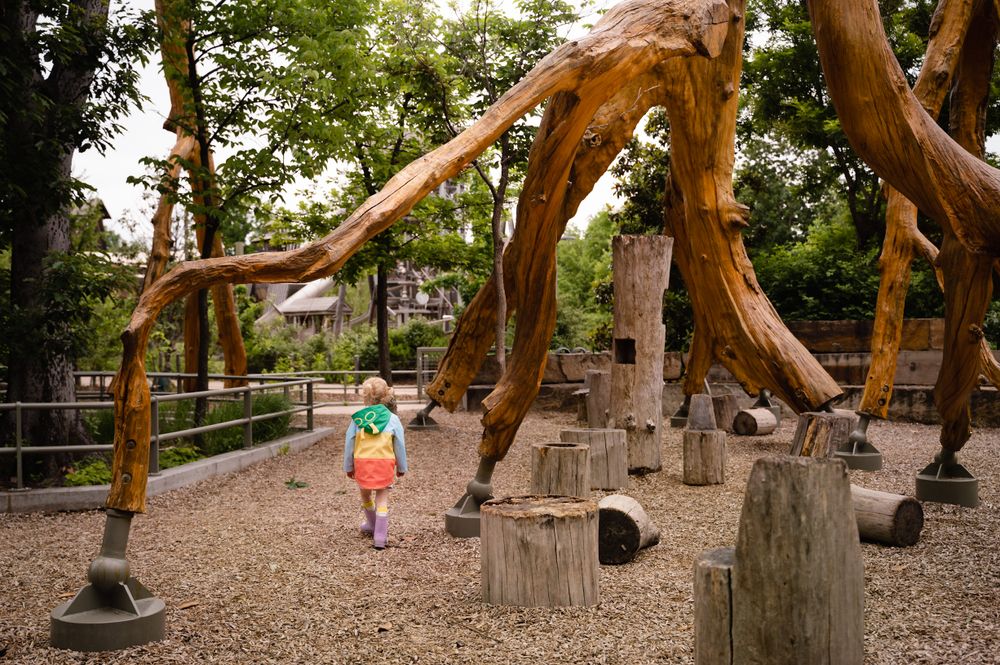 Child walking under tree forest in Tulsa Gathering Place. Documentary Image by Tulsa Photographers Cristin Franks Photography
