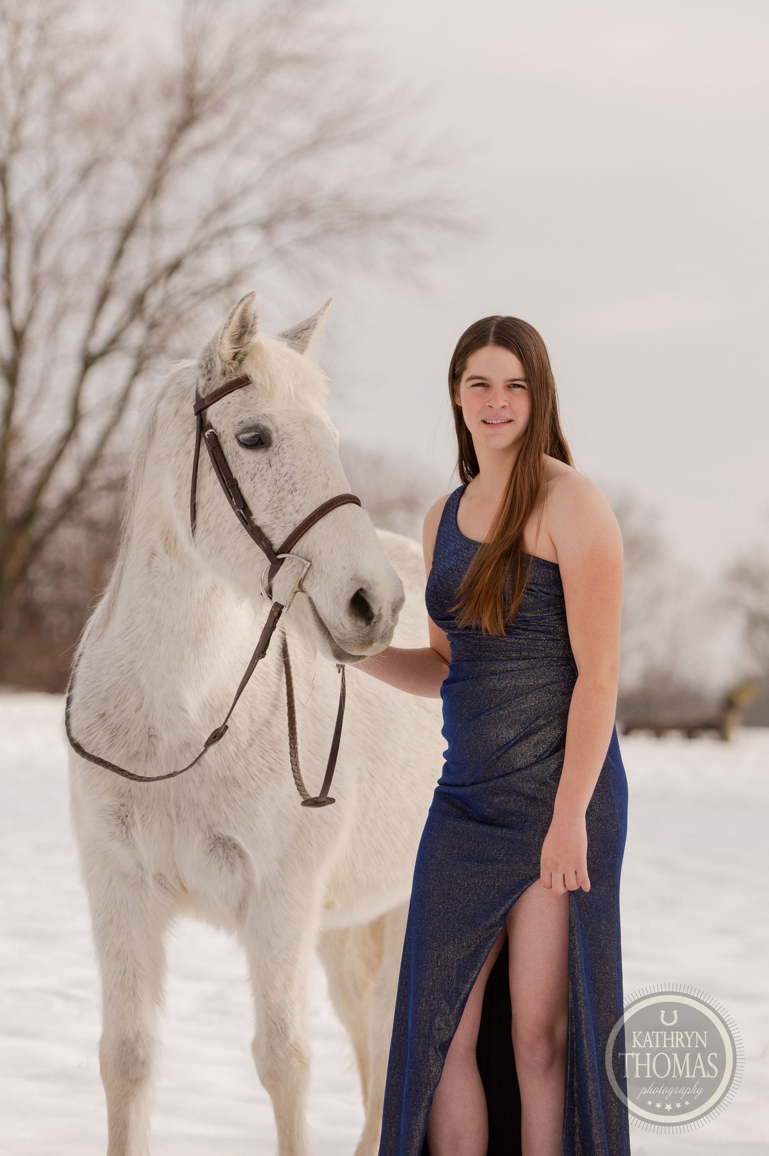 A majestic white horse stands with a person in a navy evening gown against a snowy winter backdrop.