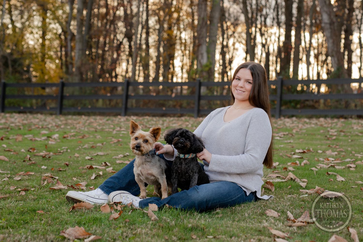 Two small dogs join for a relaxed autumn portrait on grass with golden trees in background.
