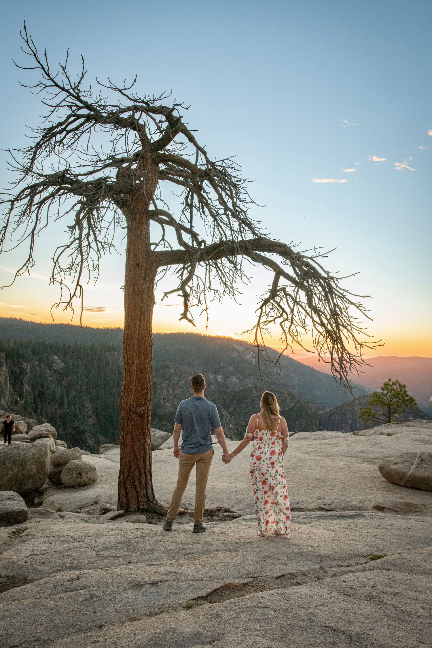 A newly engaged couple hold hands by a gnarled tree overlooking Taft Point, Yosemite, California