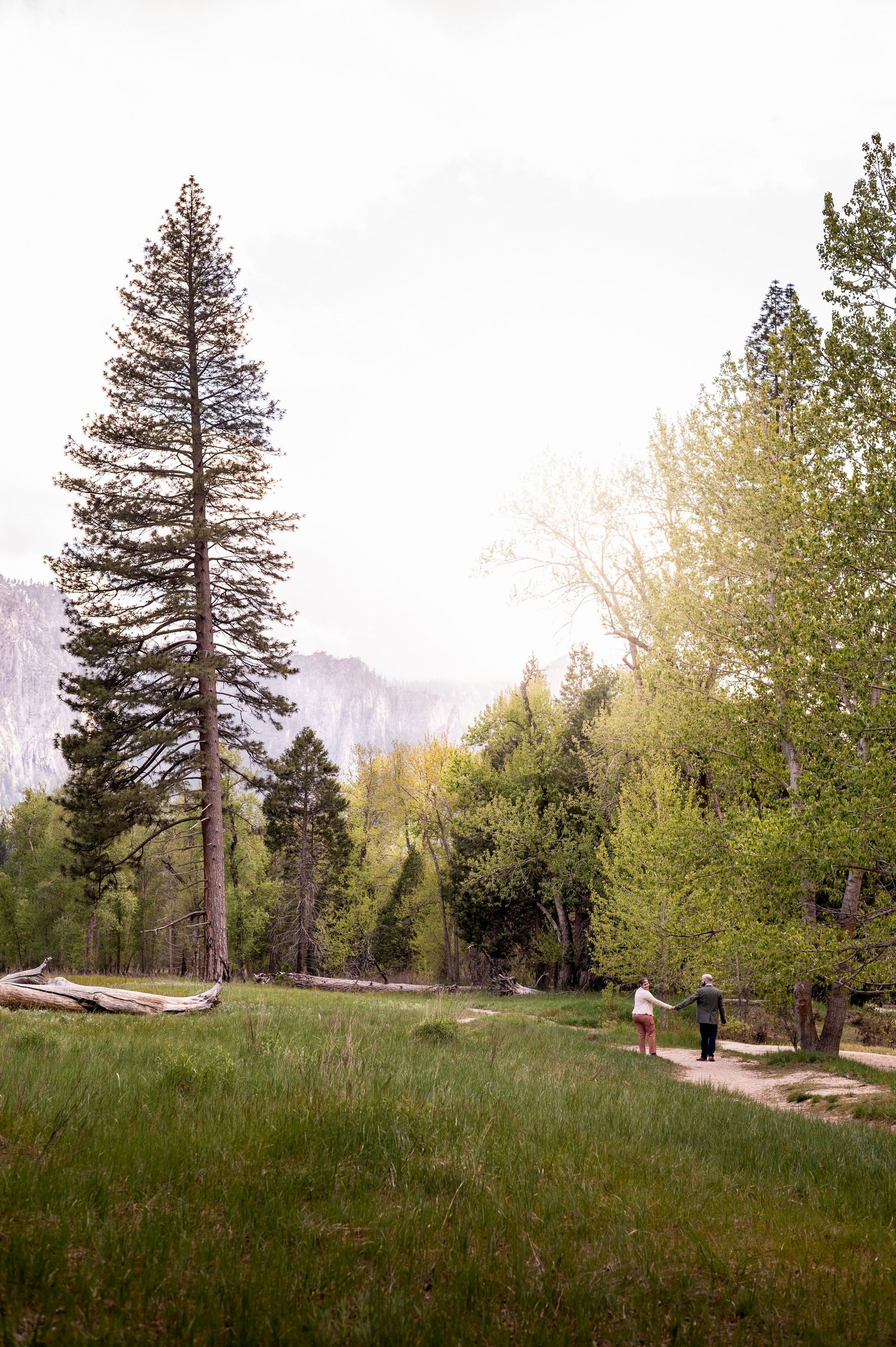 A newly engaged hiking couple at Cook's Meadow, Yosemite