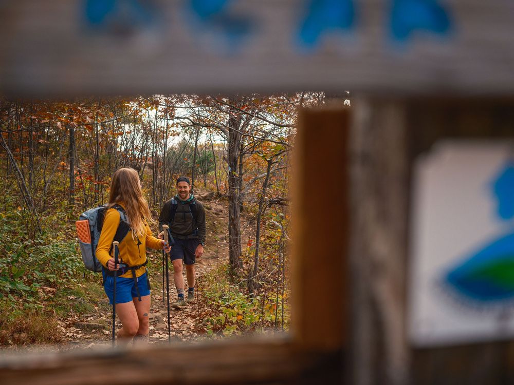 Hikers walking along a wooded trail with sunlight filtering through autumn trees.