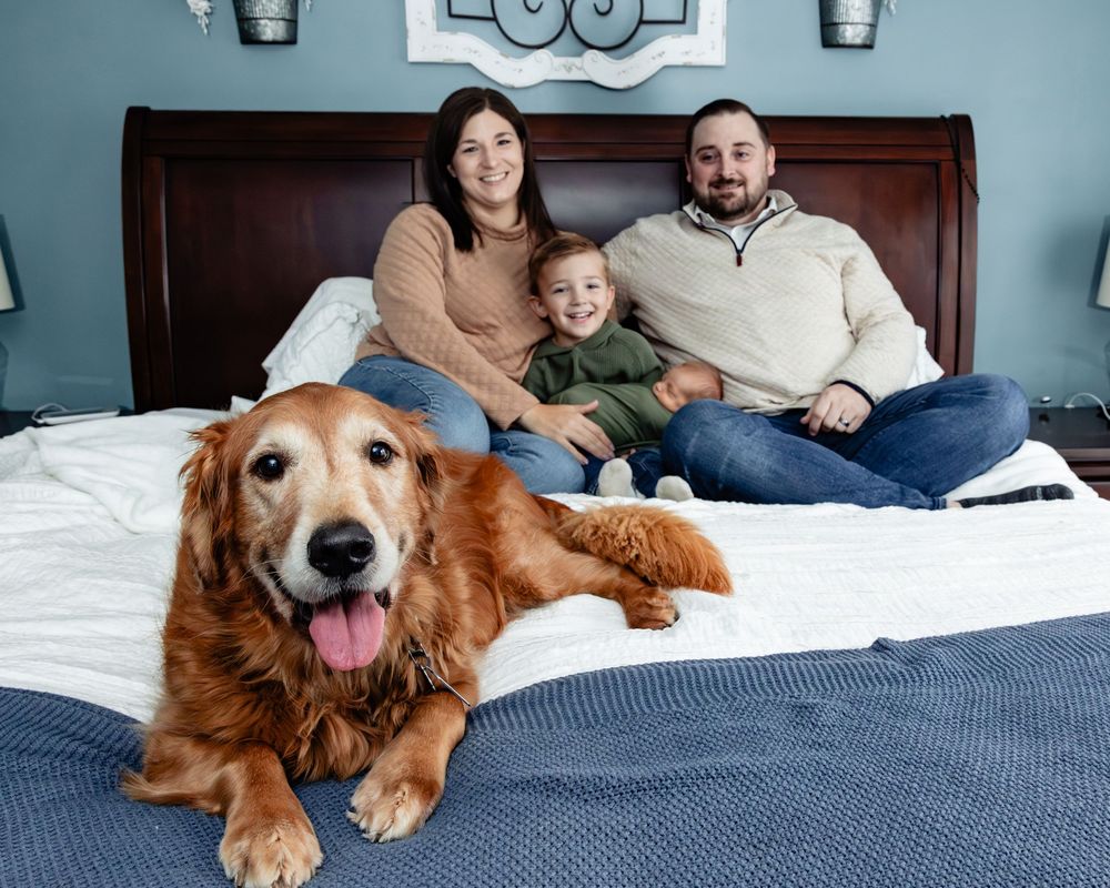 Happy family with young son and golden retriever posing on a bed in a blue bedroom.