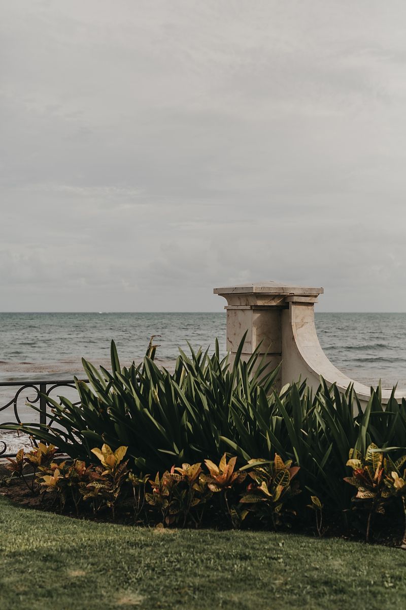 A concrete bench overlooks the ocean with tropical plants and yellow lilies growing along the grass in a scenic coastal setting.