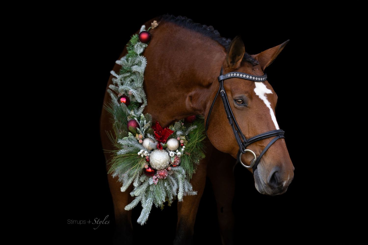 Brown horse adorned with festive Christmas garland and ornaments in a dark studio setting.