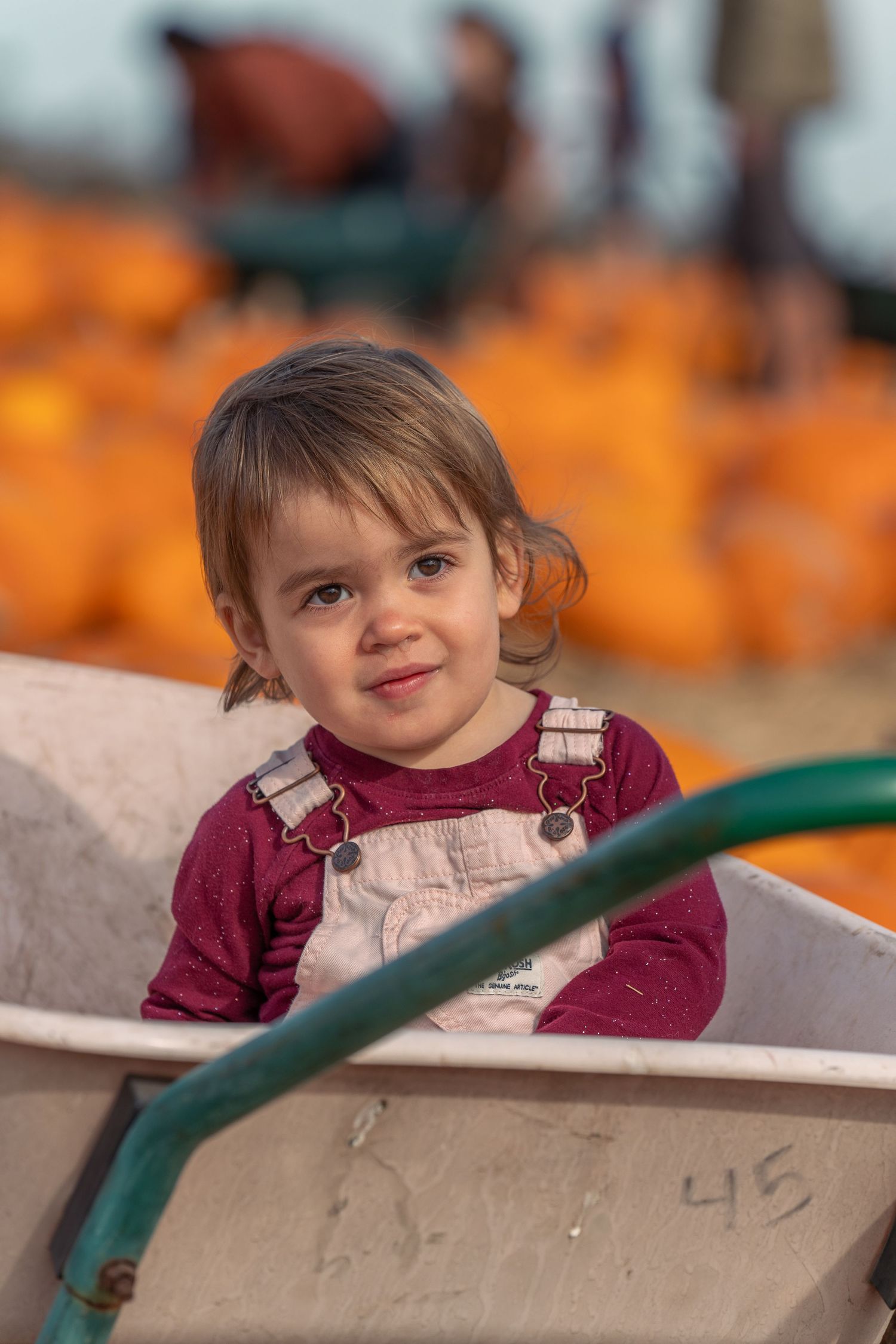 A smiling toddler sitting in a wagon at a pumpkin patch. Located at Rodoni farm, Santa Cruz