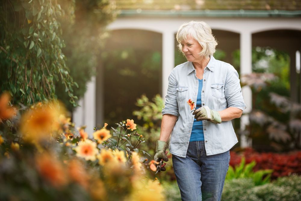 A woman in denim explores a vibrant garden filled with orange flowers on a sunny day.