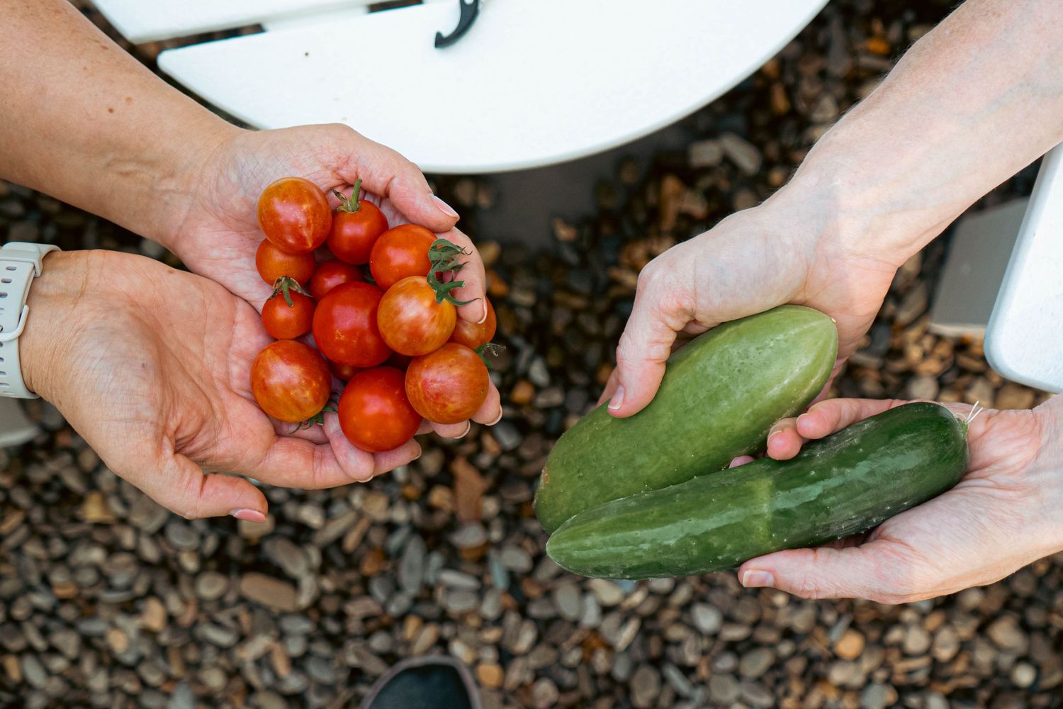 Multiple hands display freshly harvested garden vegetables including tomatoes, cucumbers and squash on a dark surface.