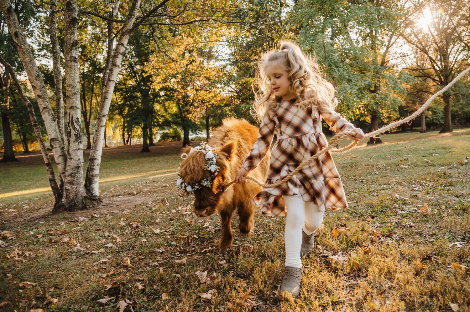 Autumn photo session in a wooded area with fallen leaves and warm sunlight.