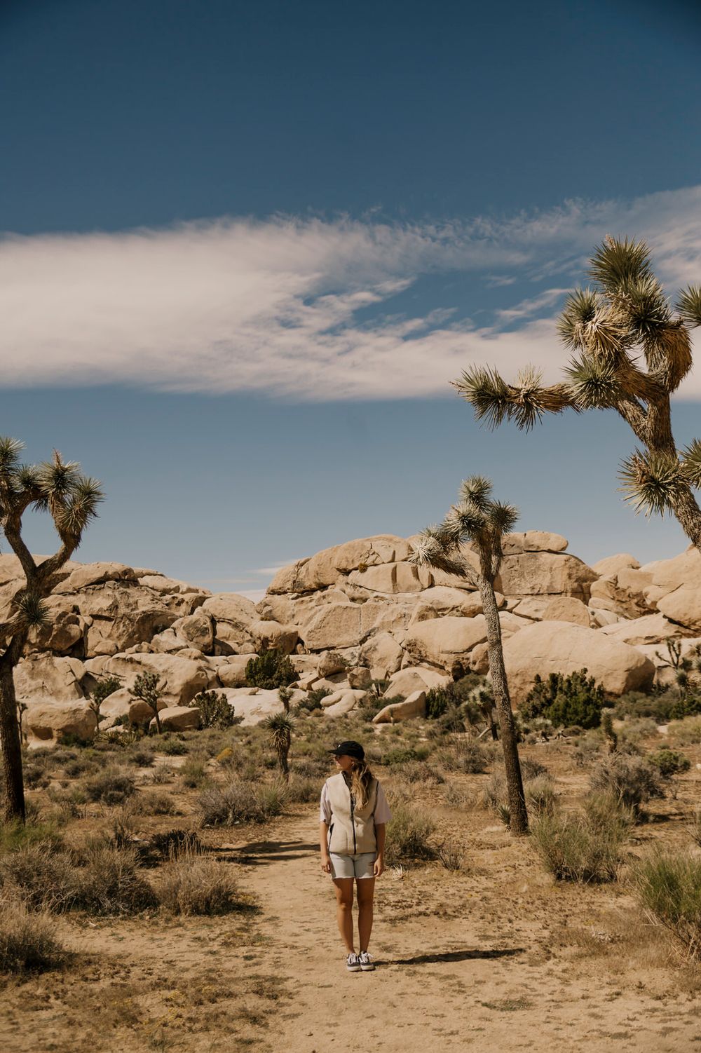 Desert landscape with Joshua trees and rocky formations under bright blue skies.