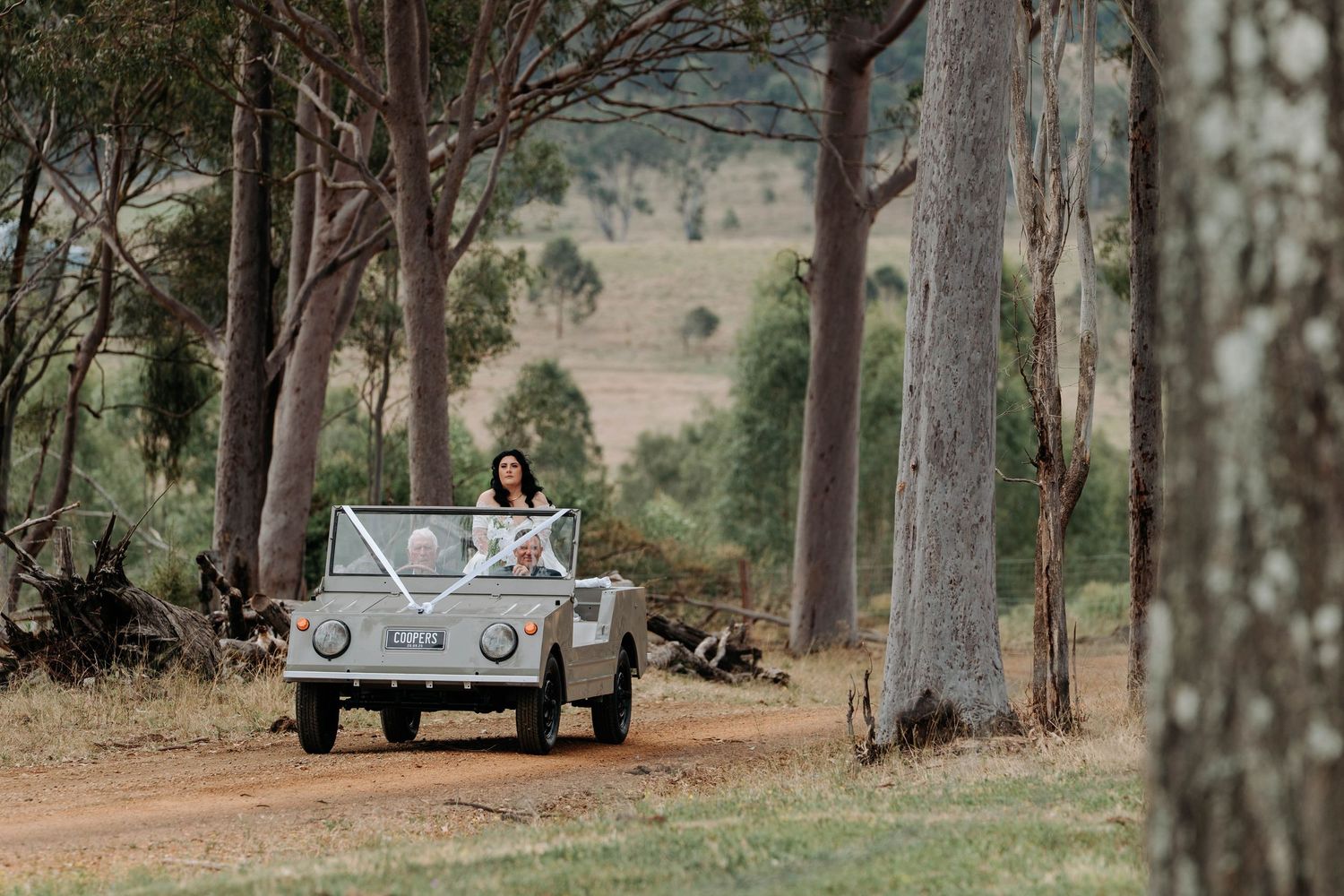 A camper trailer parked in a scenic eucalyptus forest with mountains in the background.