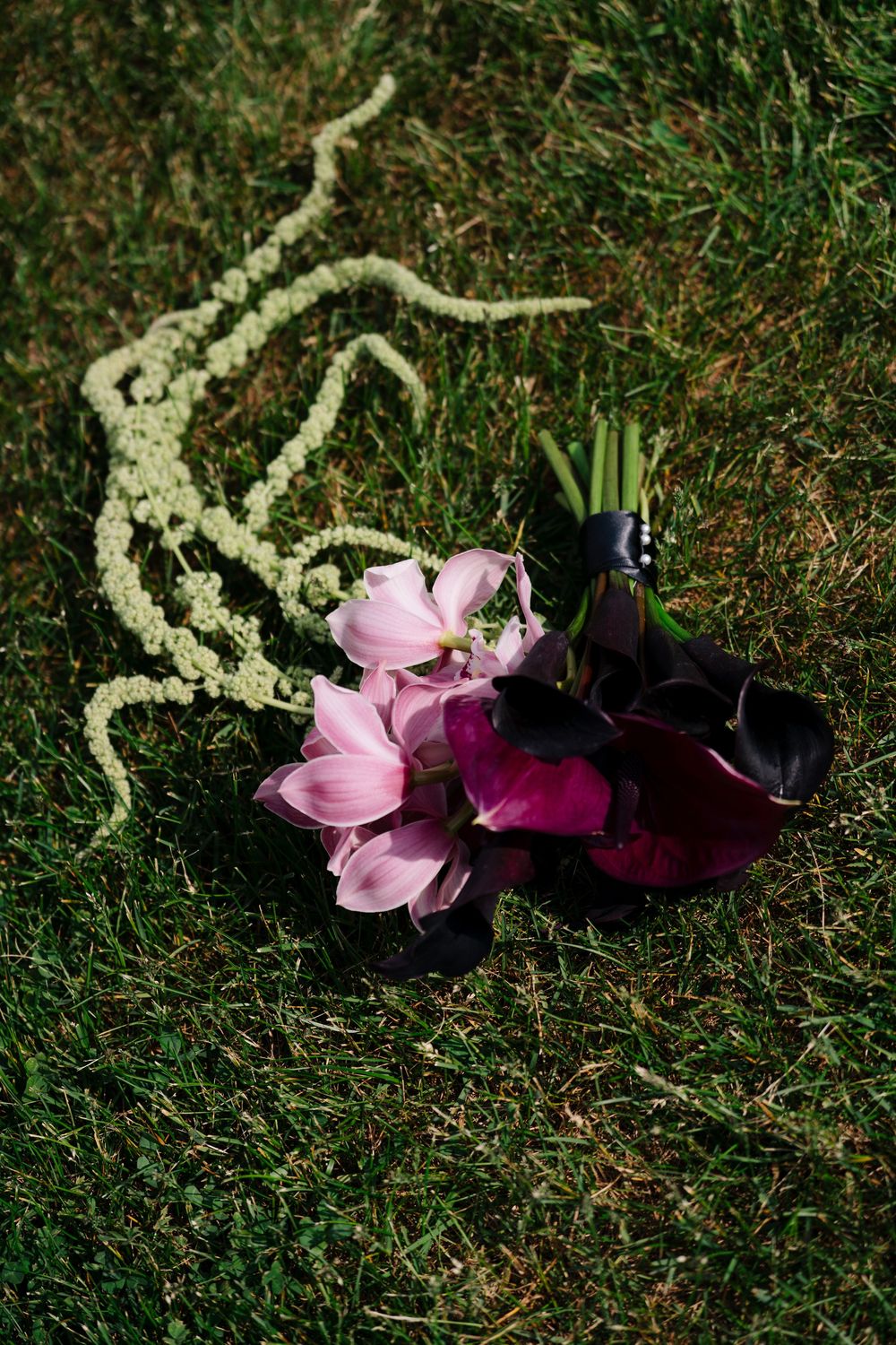 Pink and purple flower petals scattered on grass with a decorative white string or rope pattern.