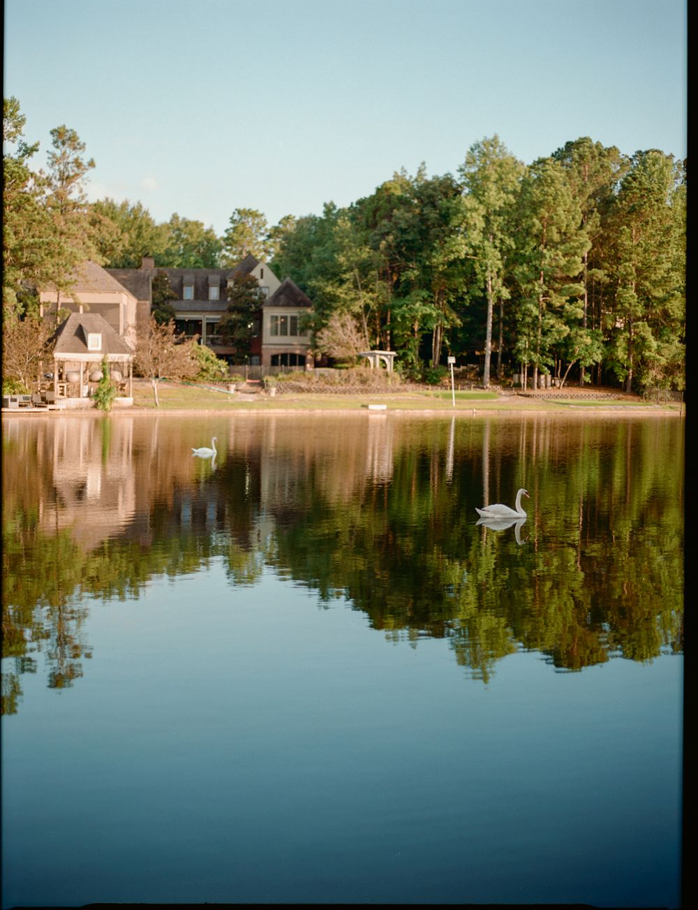 A serene lakeside view with waterfront homes and trees reflecting on the calm water's surface during golden hour.