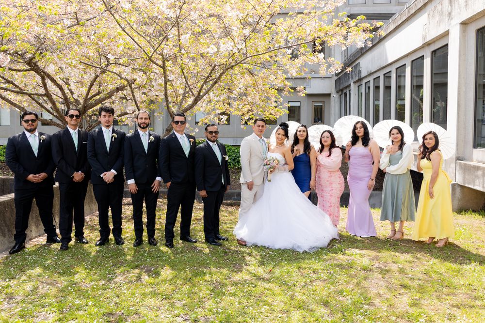 Wedding party poses together under blooming cherry blossom trees in springtime.