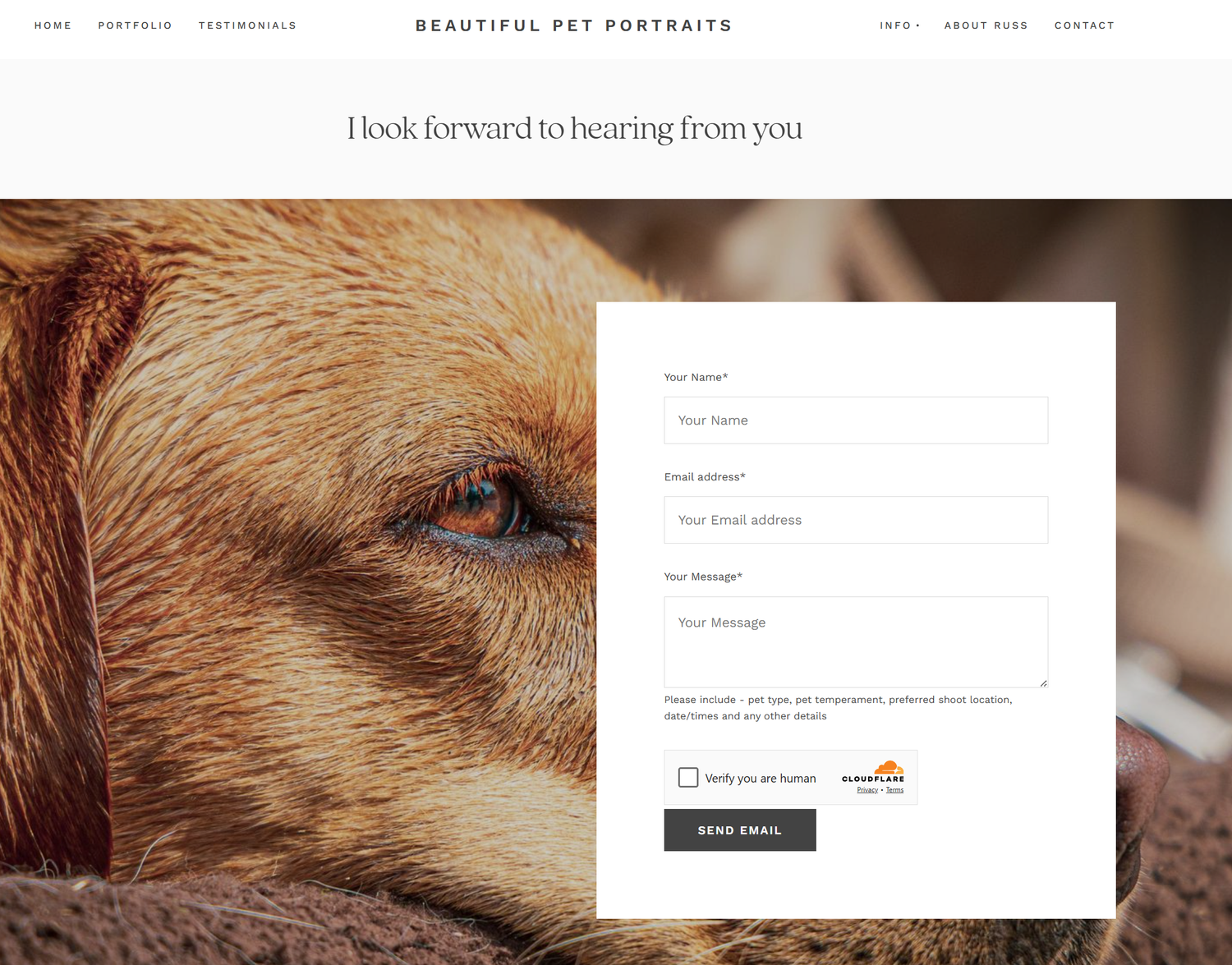 Beautiful Pet Portraits photography service Burgess Hill contact form