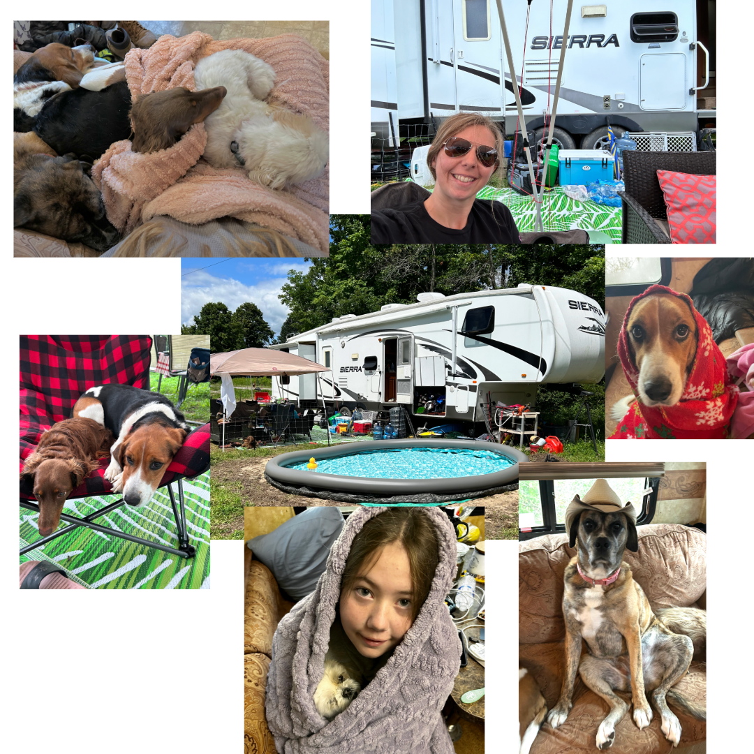 A collage of camping and RV lifestyle photos showing pets, outdoor activities, and recreational vehicles at various locations.