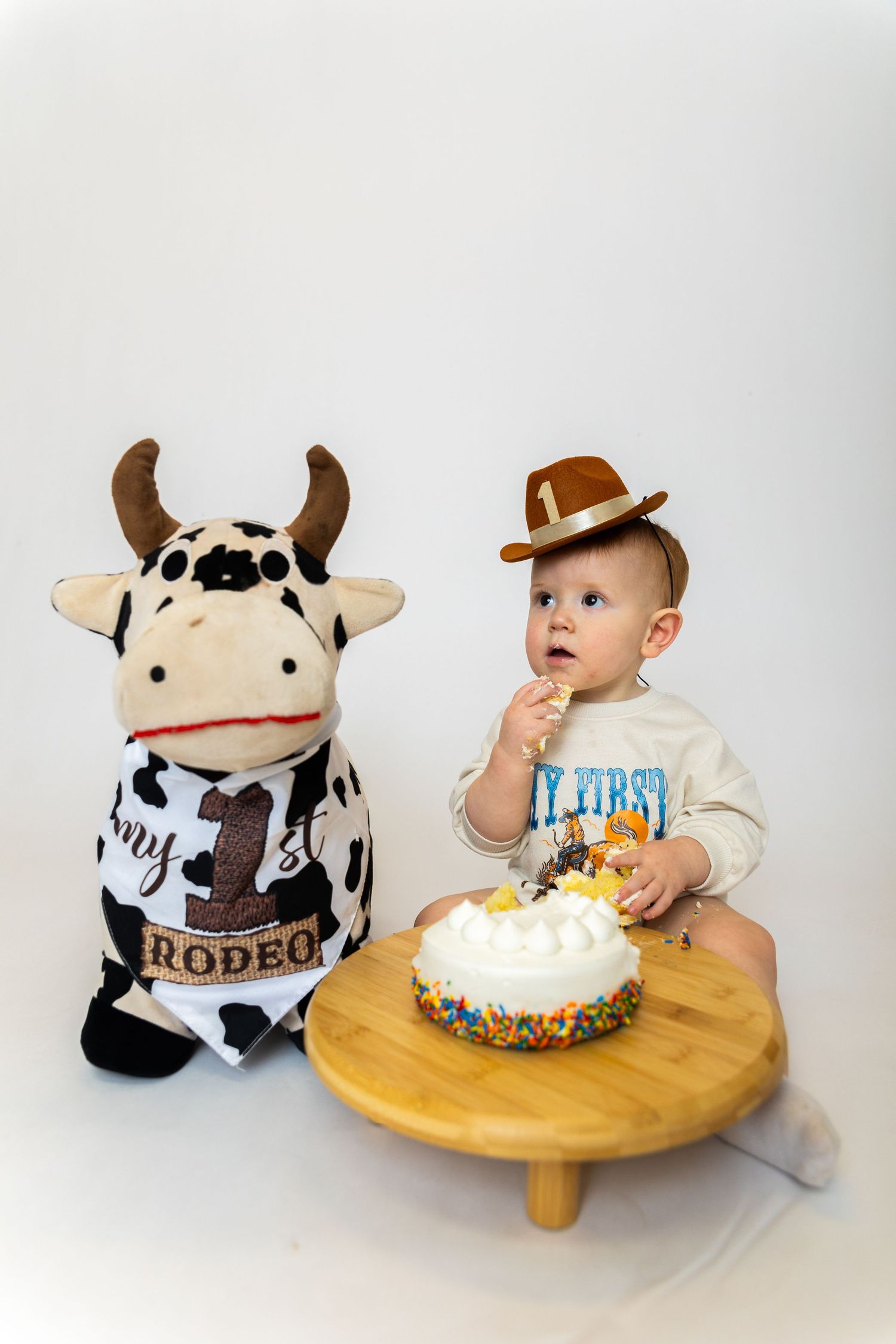 A series of photos showing a baby's first birthday celebration with a rodeo theme featuring cow plush toys and cake.