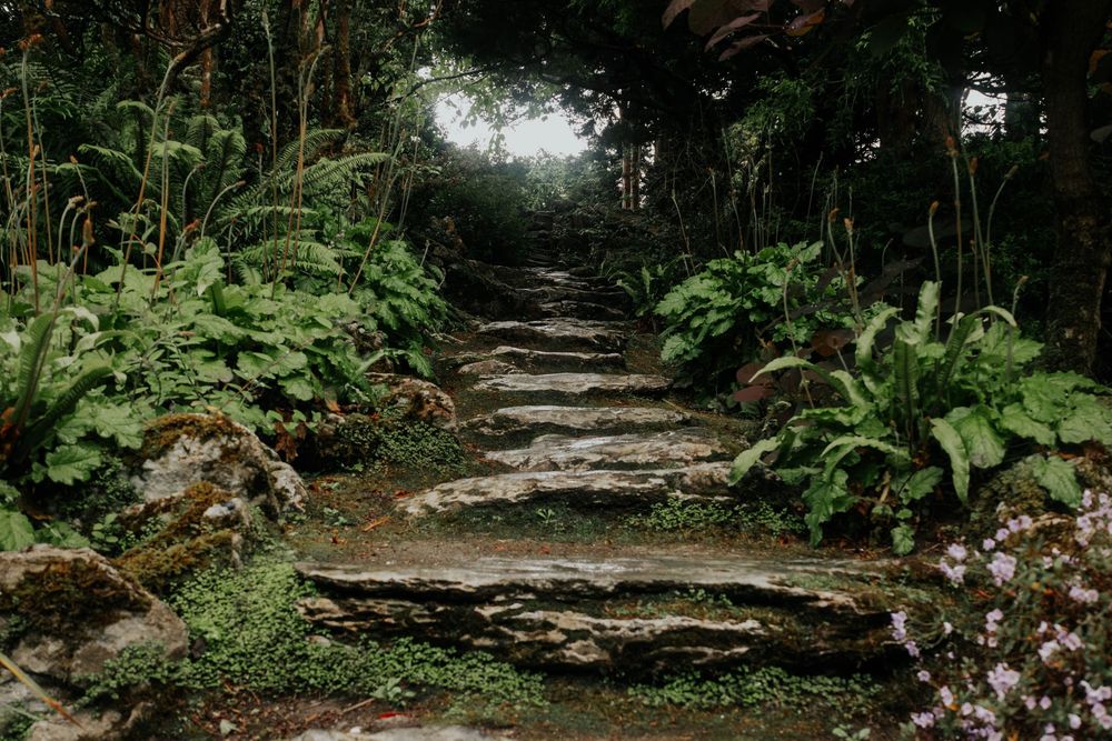 Ancient stone steps wind through a misty tropical garden with lush green ferns and foliage on both sides.