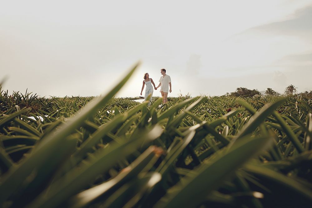 Two figures hold hands while walking along a hillside silhouetted against the sky with grass in foreground.
