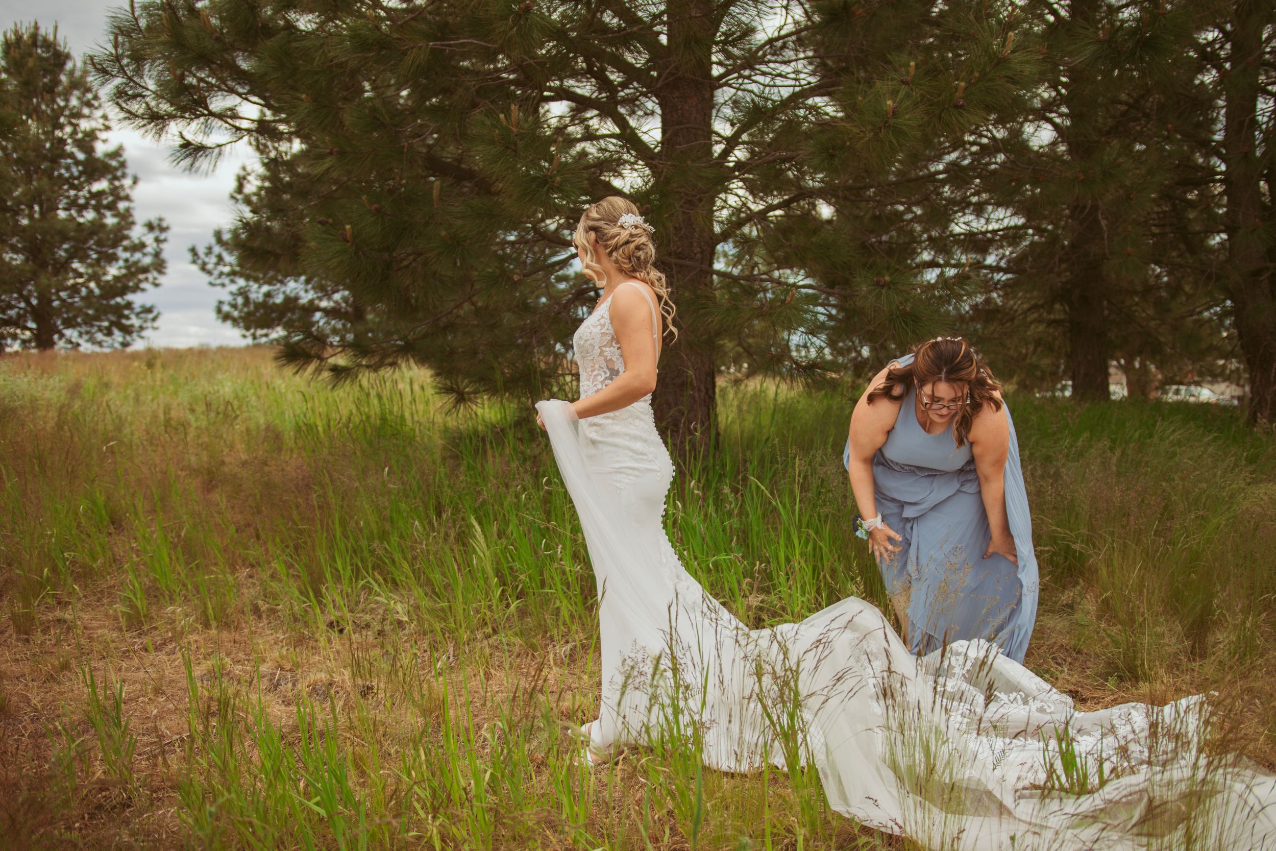 Wedding dress being adjusted in grassy field while pine trees stand tall in background.