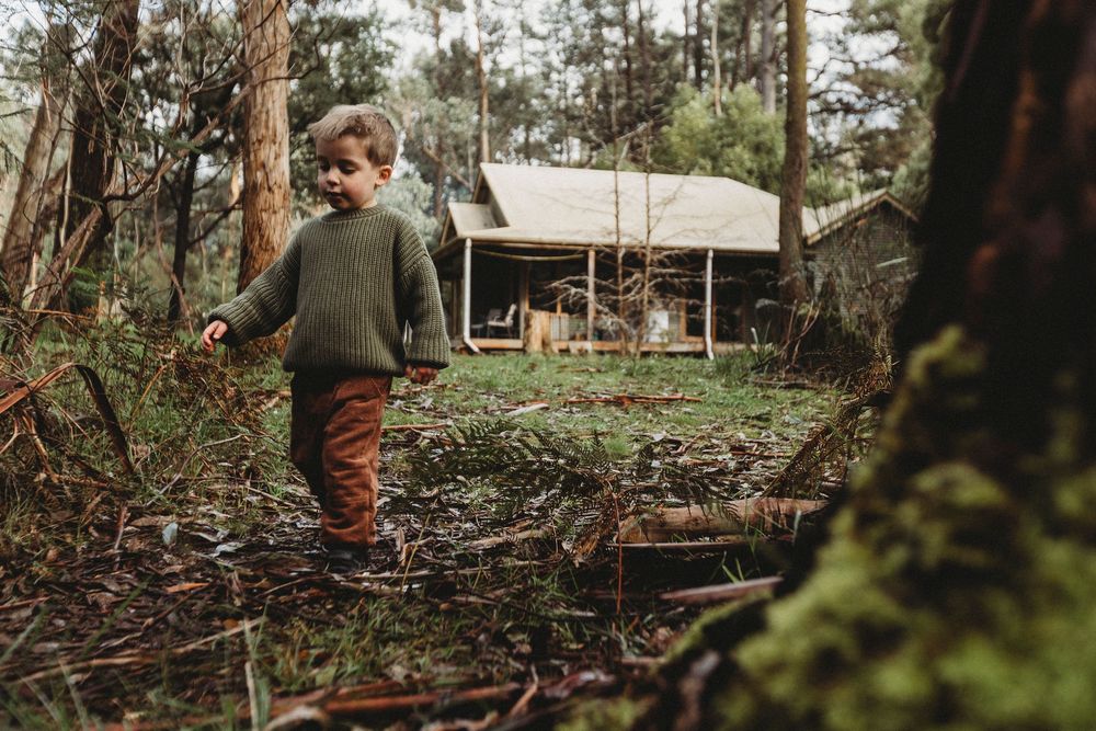A toddler in a green sweater and rust pants explores a forest clearing near a rustic cabin among trees.