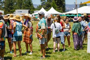 Festival attendees wait in line at outdoor food and vendor booths on a sunny summer day.