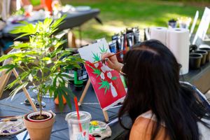 Cannabis plants growing in pots on an outdoor patio table with gardening supplies and decorations visible.